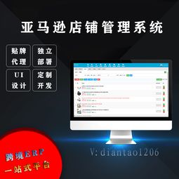 亚马逊批量采集上货一键翻译软件定制开发